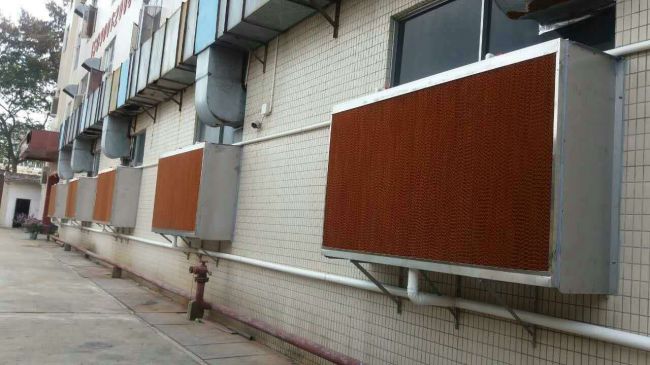 水帘降温：温室的清凉守护者