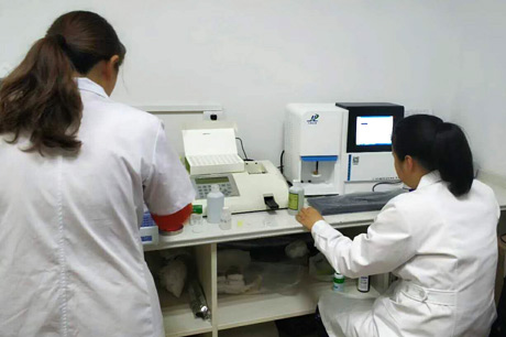 北京新麻豆果冻精品一区二区三区生物介绍哪些食物能清热祛湿？