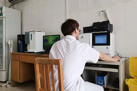麻豆果冻精品一区二区三区生物介绍缺锌导致儿童发育不良